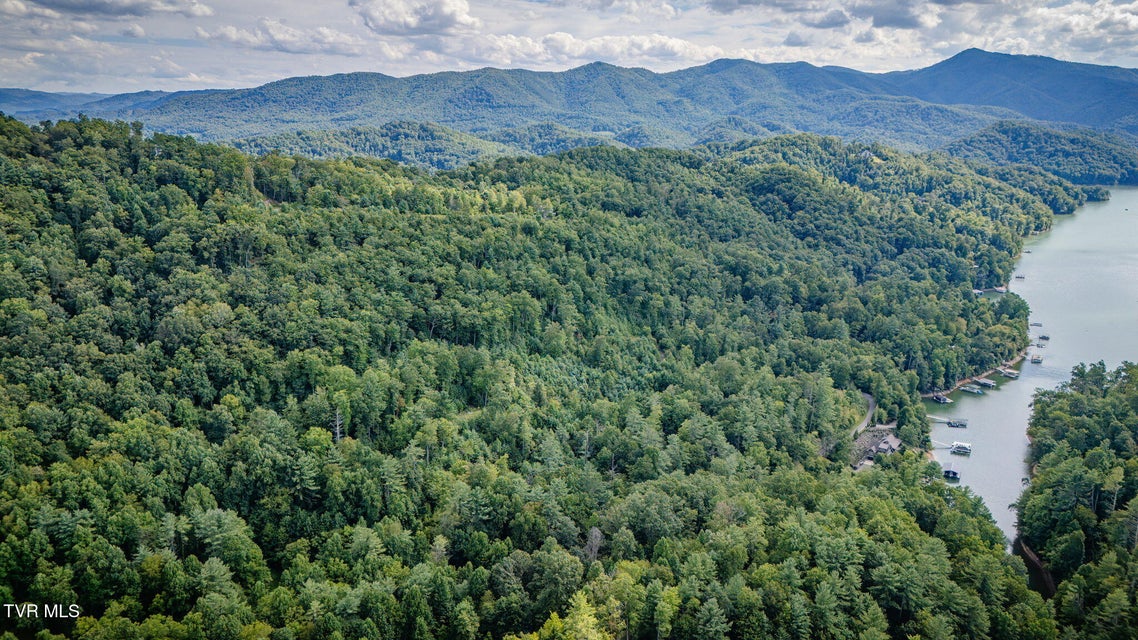 Photo #8: Tbd Cove Ridge Road