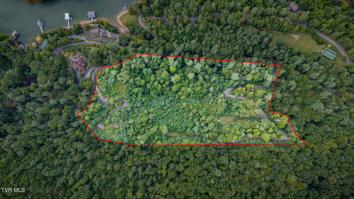 Photo #12: Tbd Cove Ridge Road