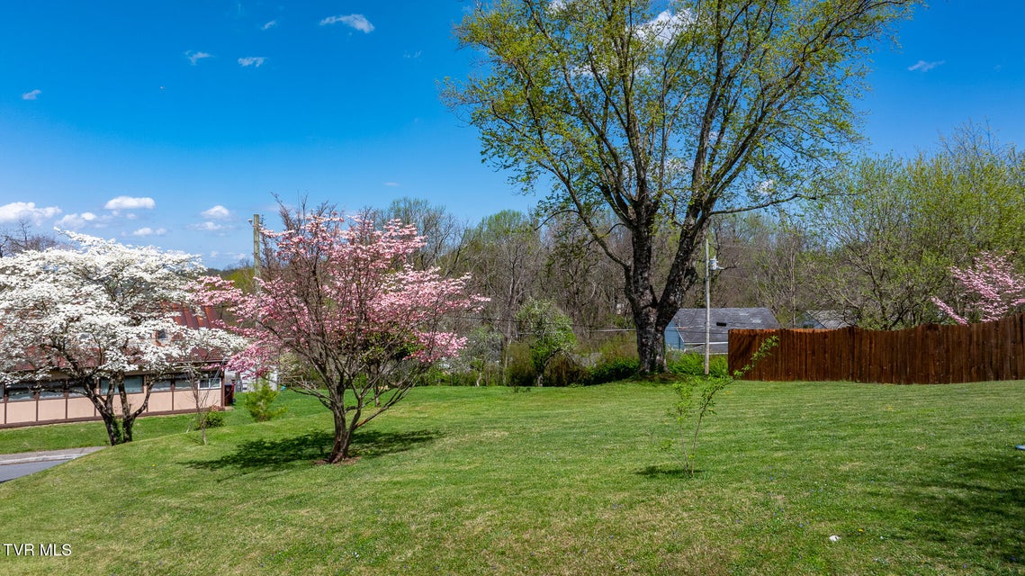 Photo #50: 1503 Virginia Street