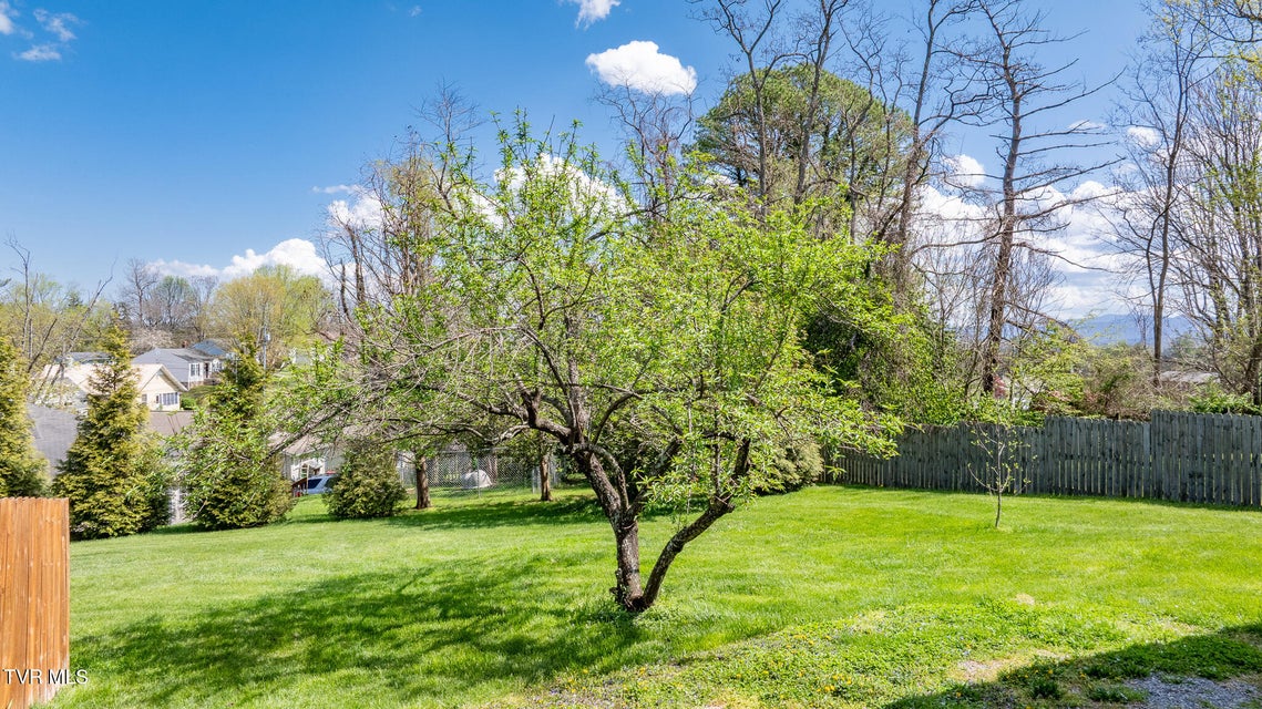 Photo #92: 1503 Virginia Street