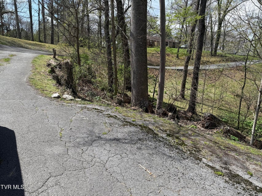 Photo #32: 408 Forest Hills Drive