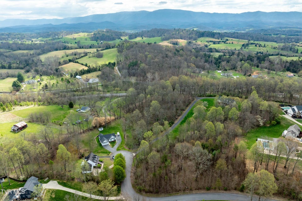 Photo #24: Tbd Randall Laura Lane