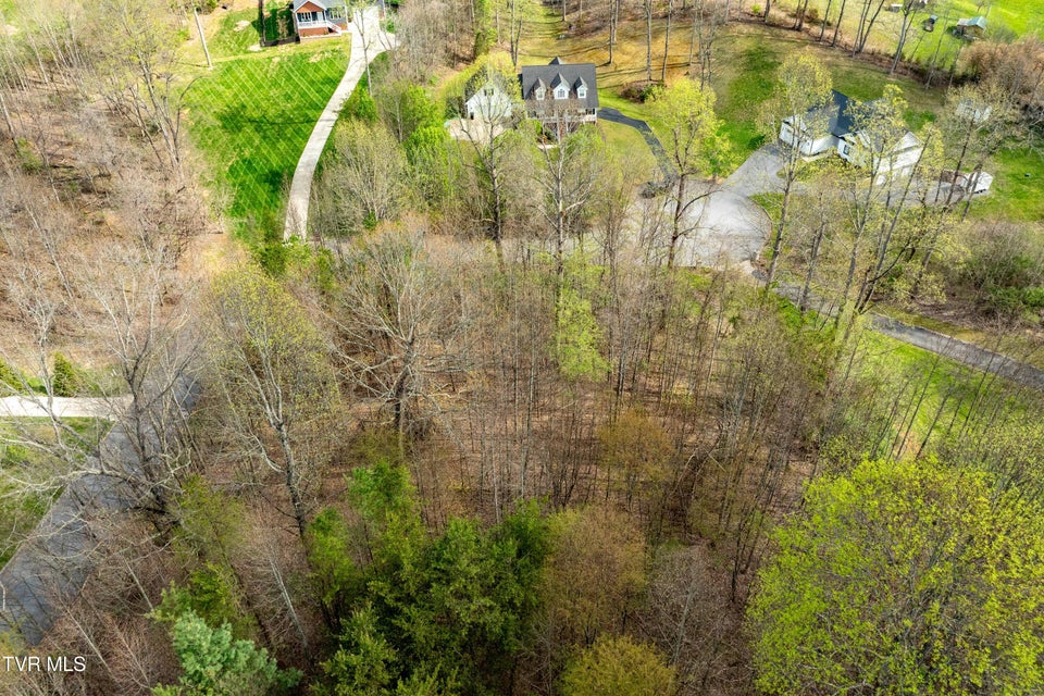 Photo #33: Tbd Randall Laura Lane