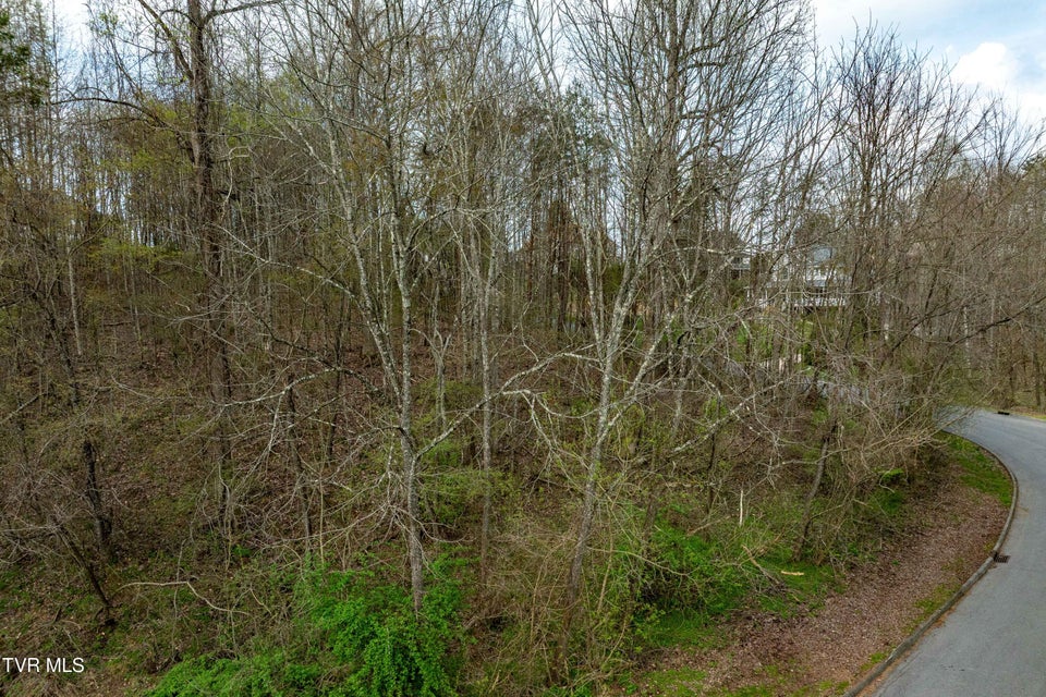 Photo #36: Tbd Randall Laura Lane