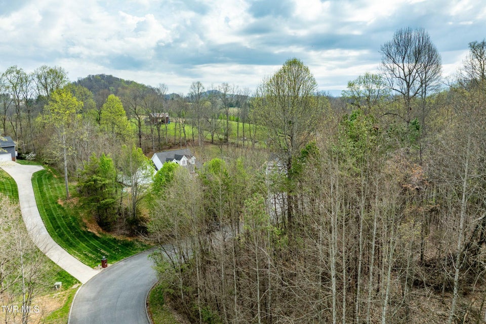 Photo #37: Tbd Randall Laura Lane