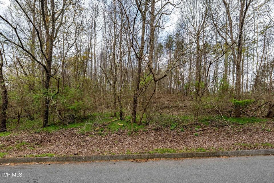 Photo #4: Tbd Randall Laura Lane