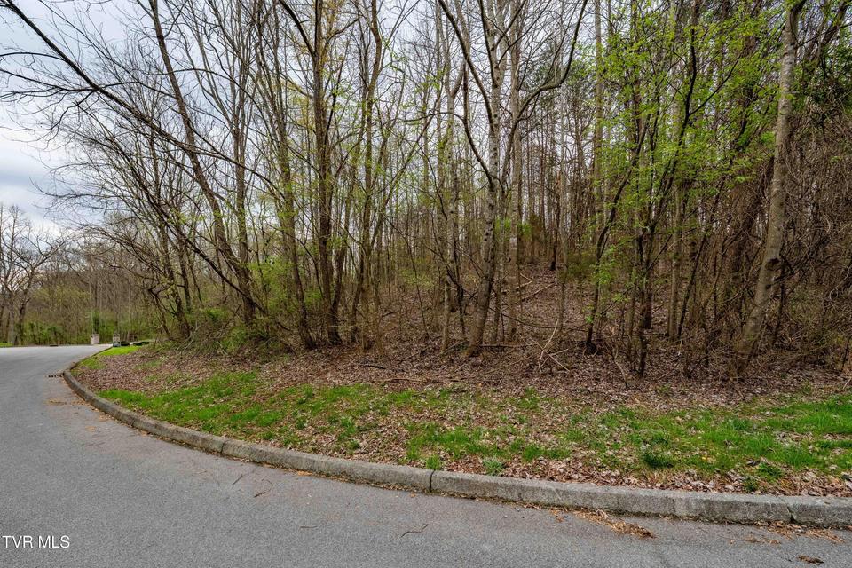 Photo #7: Tbd Randall Laura Lane