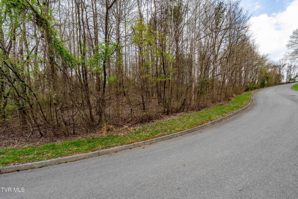 Photo #8: Tbd Randall Laura Lane