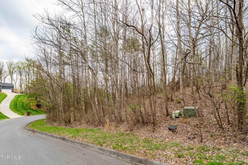 Photo #9: Tbd Randall Laura Lane