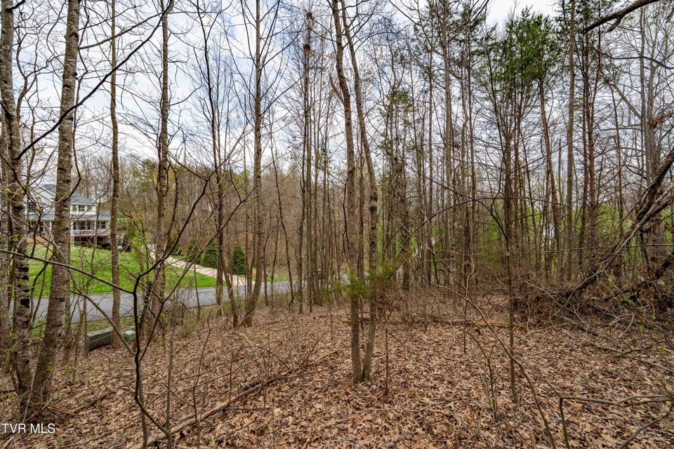 Photo #10: Tbd Randall Laura Lane