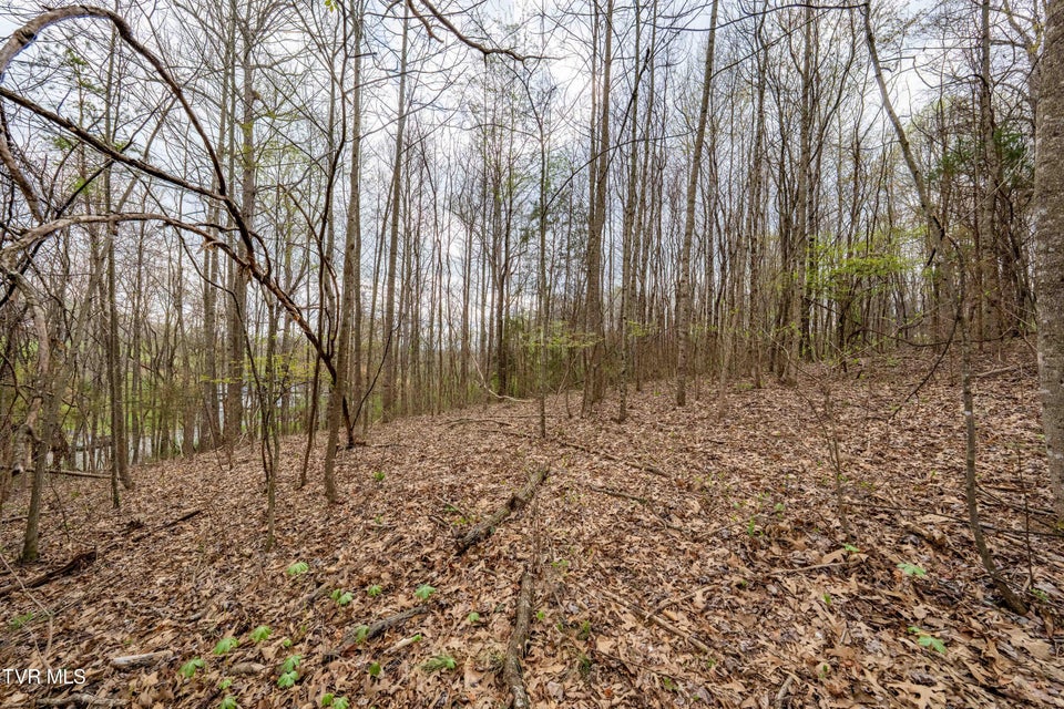 Photo #11: Tbd Randall Laura Lane