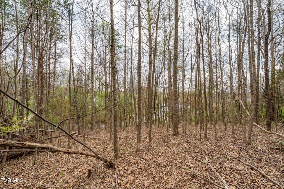 Photo #12: Tbd Randall Laura Lane