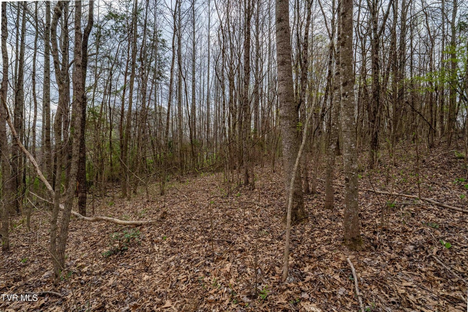 Photo #13: Tbd Randall Laura Lane