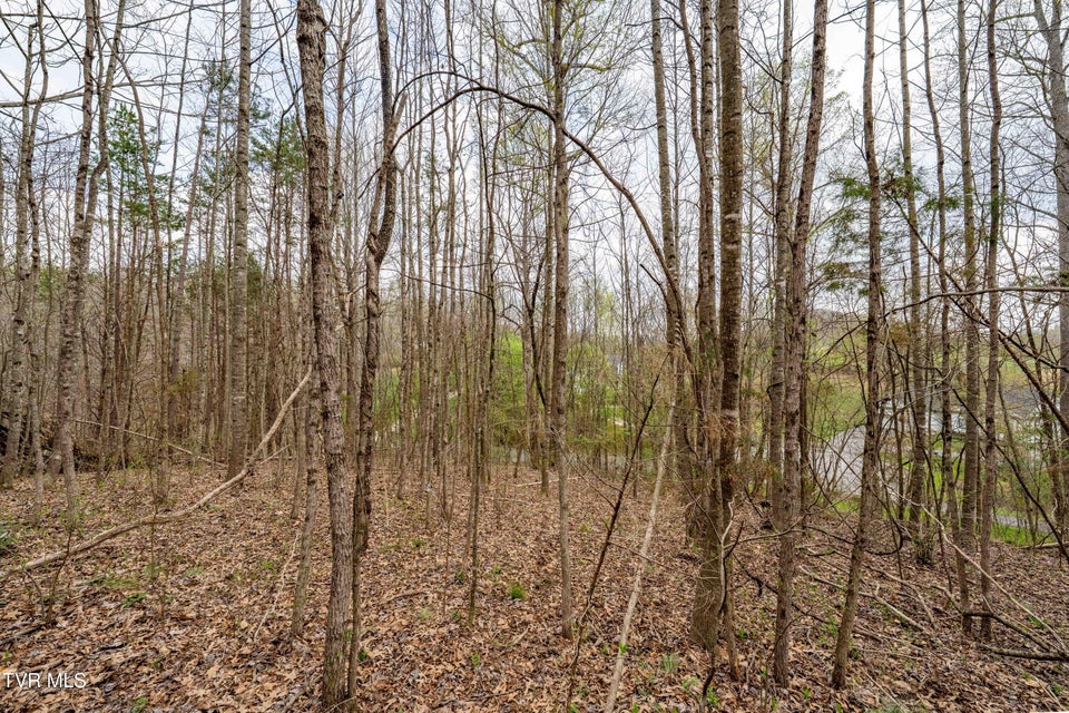 Photo #14: Tbd Randall Laura Lane