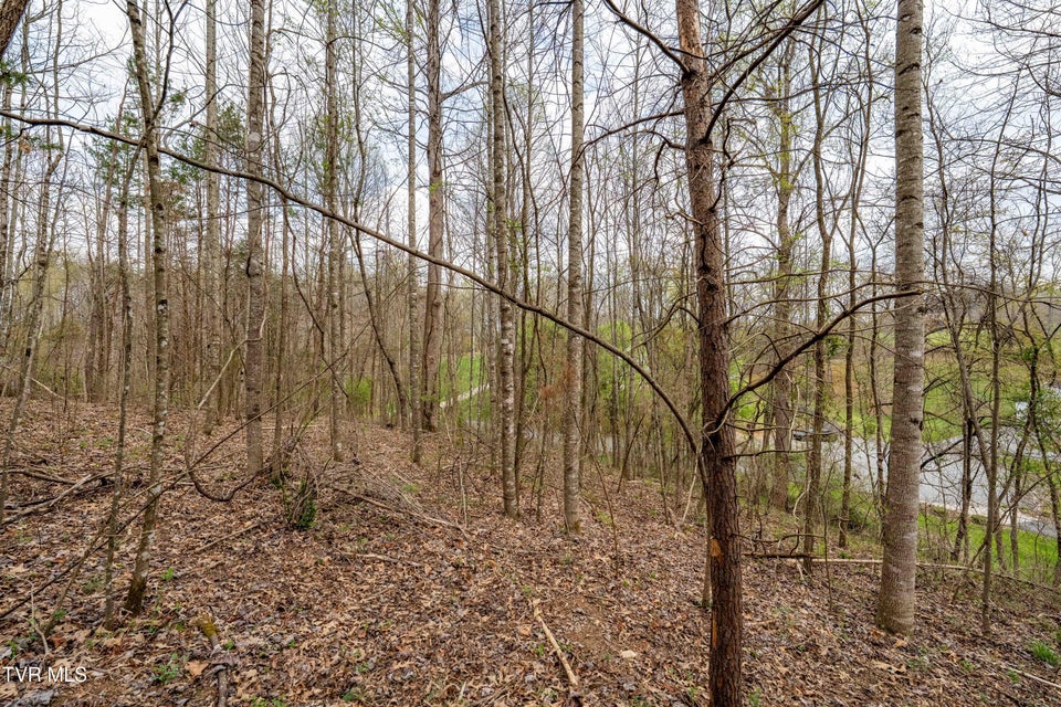 Photo #15: Tbd Randall Laura Lane