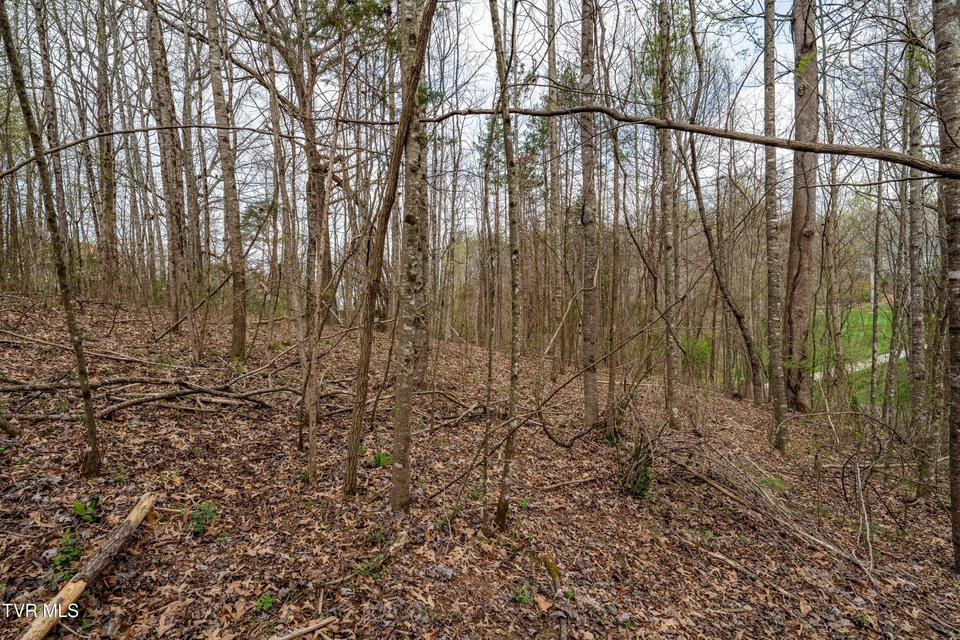 Photo #16: Tbd Randall Laura Lane