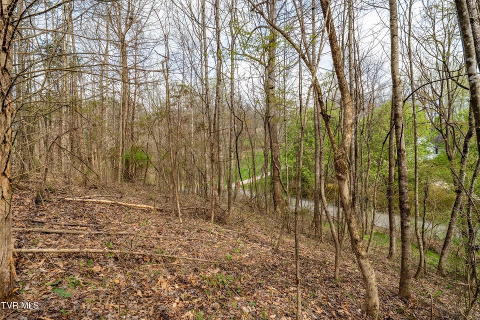 Photo #17: Tbd Randall Laura Lane