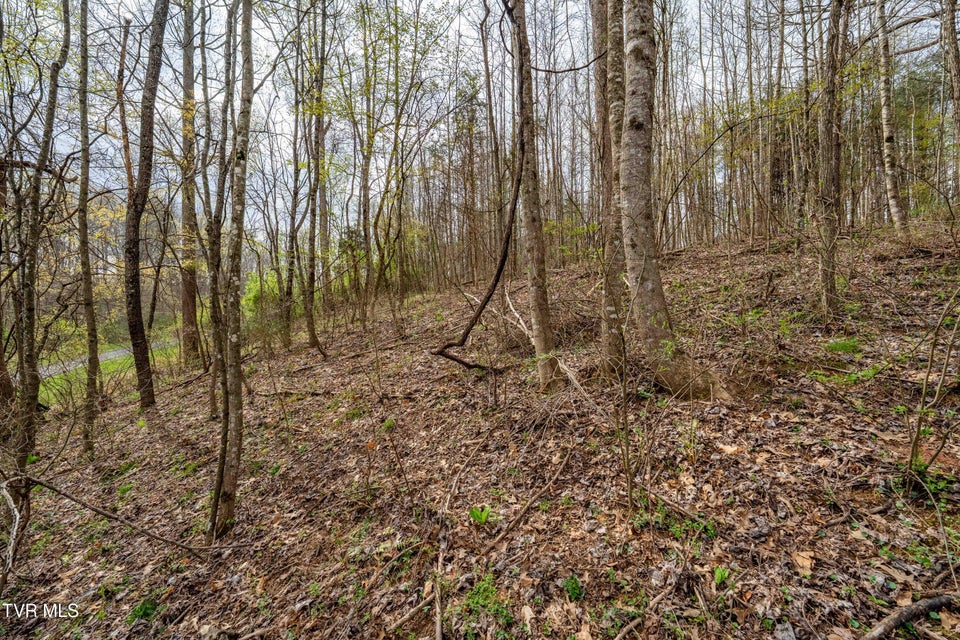 Photo #18: Tbd Randall Laura Lane