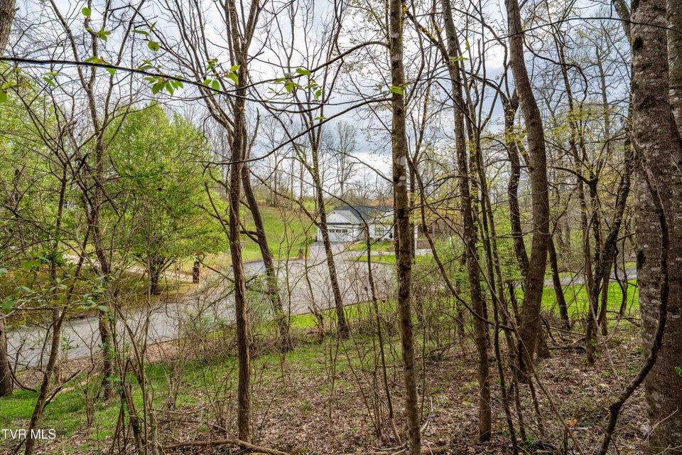 Photo #19: Tbd Randall Laura Lane