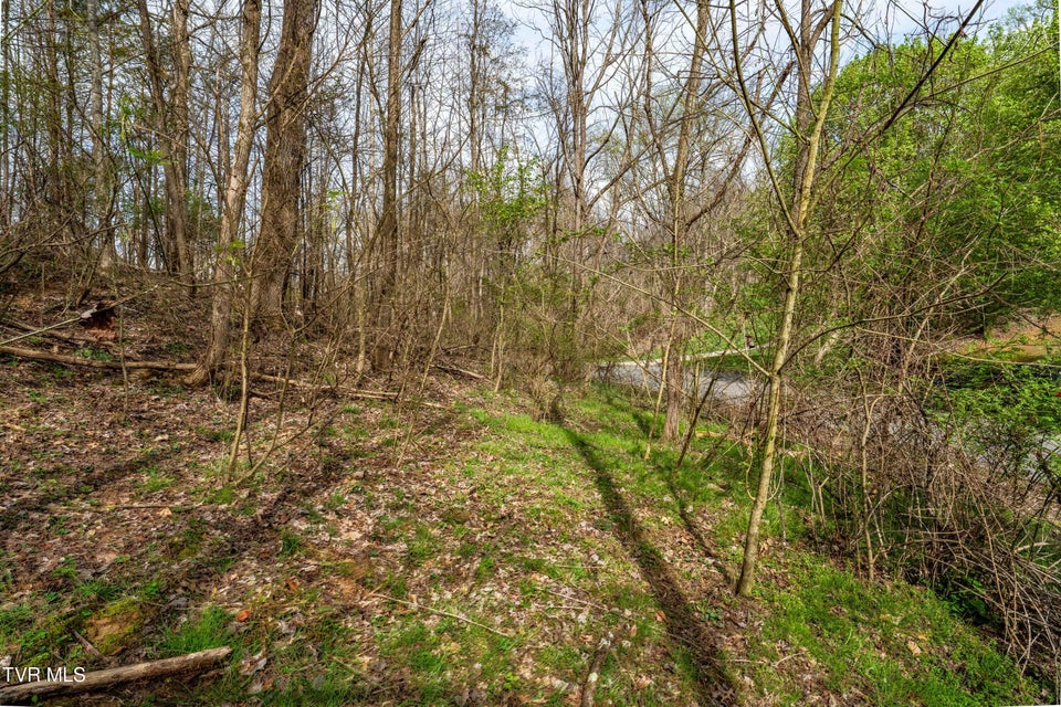 Photo #20: Tbd Randall Laura Lane