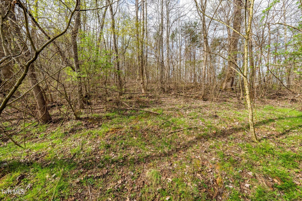 Photo #21: Tbd Randall Laura Lane