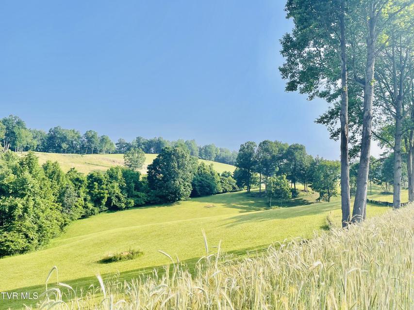 Photo #4: Lot 21 Lake Mist Trail