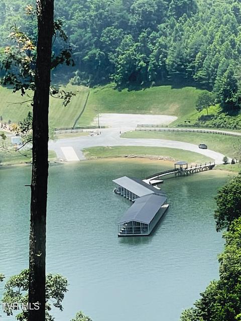 Photo #8: Lot 21 Lake Mist Trail