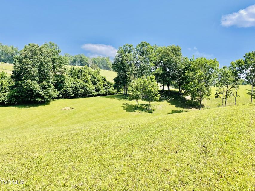 Photo #6: Lot 21 Lake Mist Trail