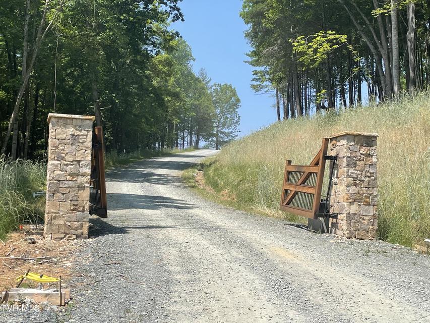 Photo #3: Lot 21 Lake Mist Trail