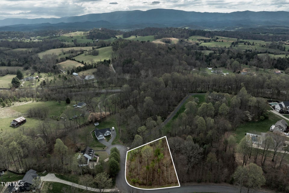 Photo #23: Tbd Randall Laura Lane