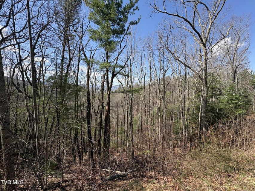 Photo #4: Lot 10 Callalantee Drive