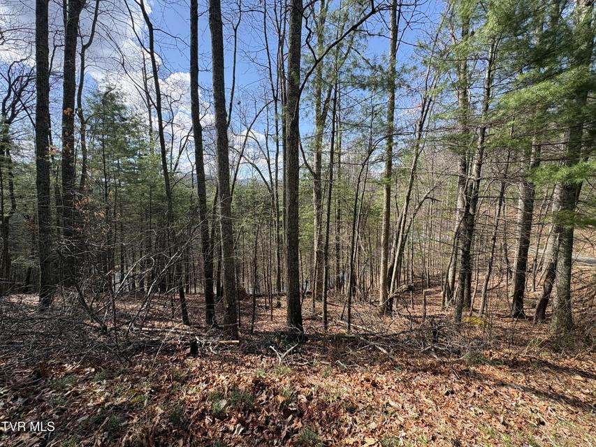 Photo #5: Lot 10 Callalantee Drive