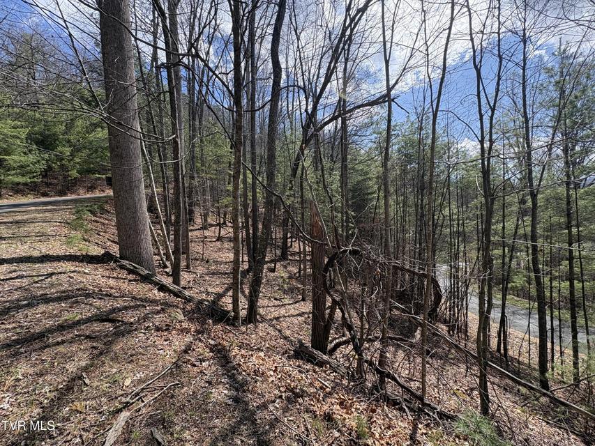 Photo #6: Lot 10 Callalantee Drive