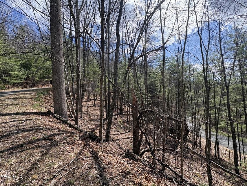 Photo #7: Lot 10 Callalantee Drive