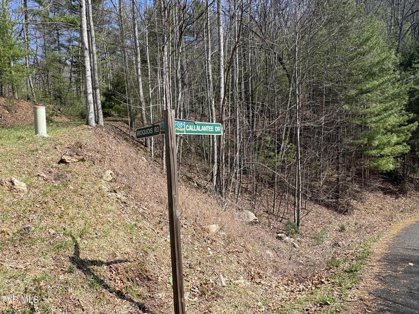 Photo #8: Lot 10 Callalantee Drive