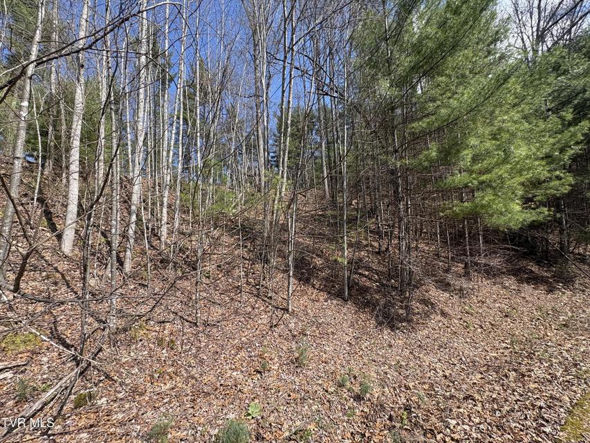 Photo #9: Lot 10 Callalantee Drive