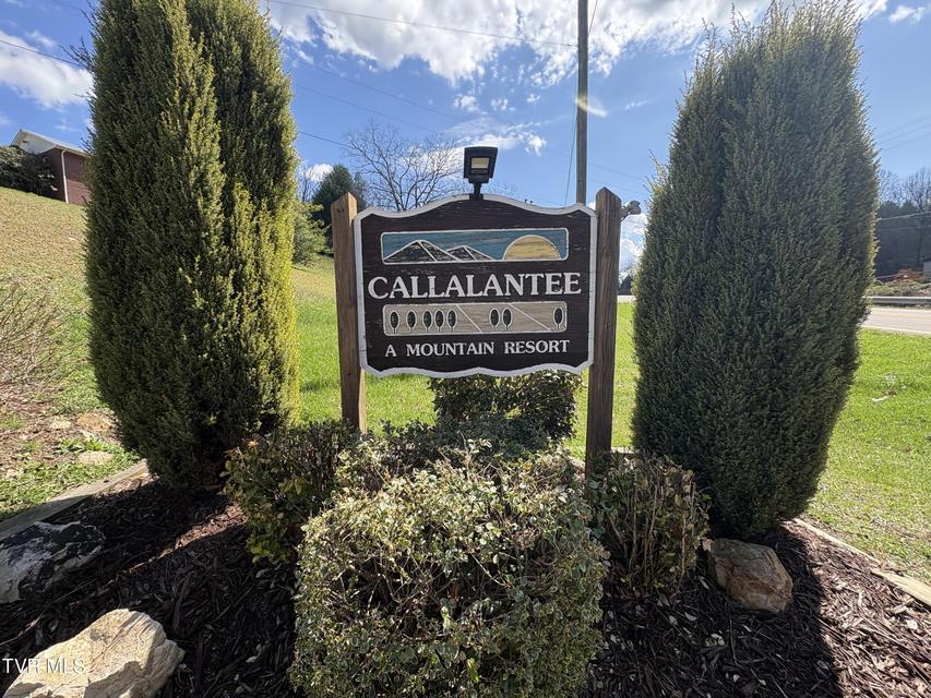 Photo #11: Lot 10 Callalantee Drive