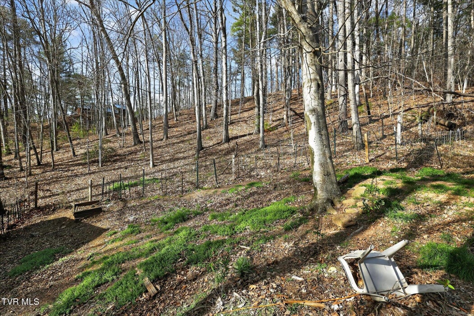 Photo #11: 135 Hiddenwood Drive