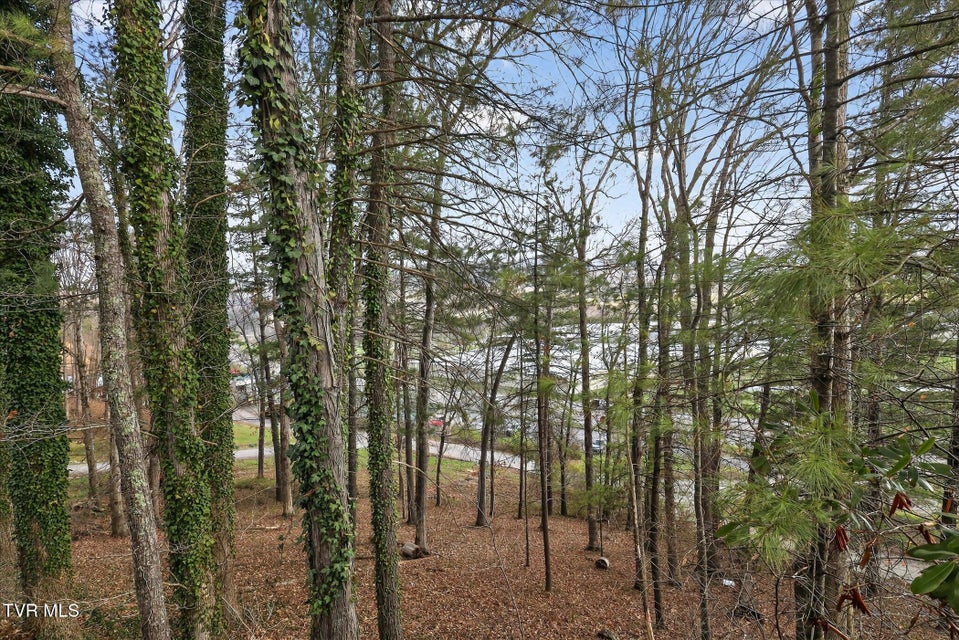 Photo #12: 135 Hiddenwood Drive