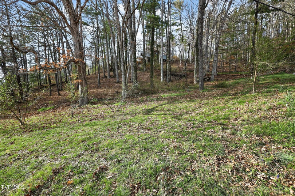 Photo #13: 135 Hiddenwood Drive