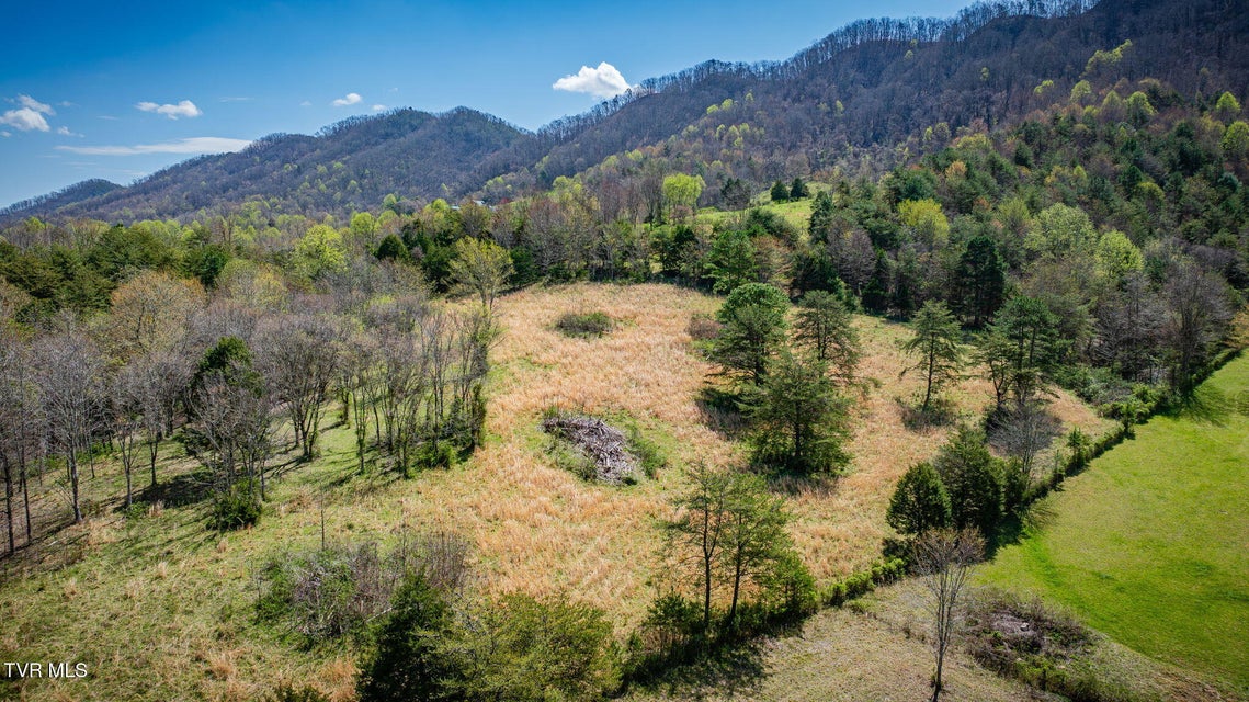 Photo #5: Tbd Highway 131 