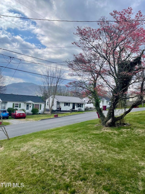 Photo #24: 422 Magnolia Avenue