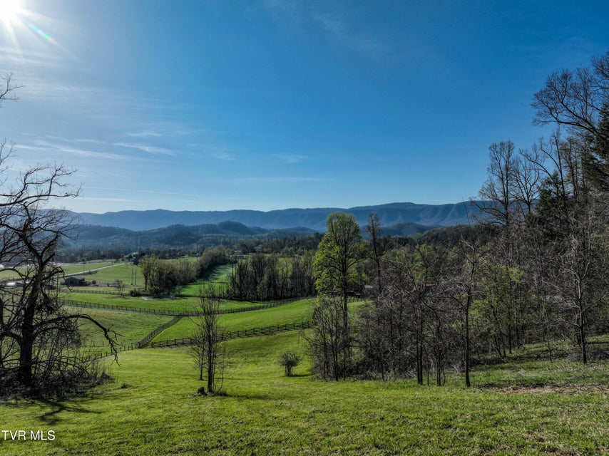 Photo #93: 415 Beidleman Road