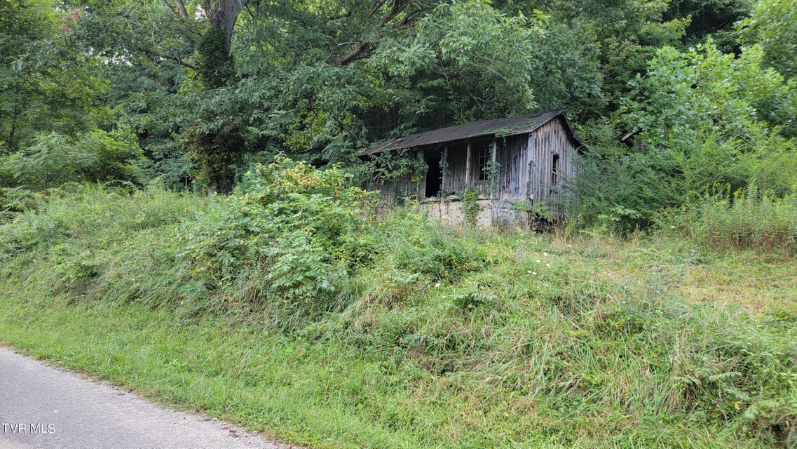 Photo #4: 00 Dry Stone Branch Road