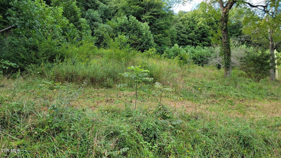 Photo #5: 00 Dry Stone Branch Road