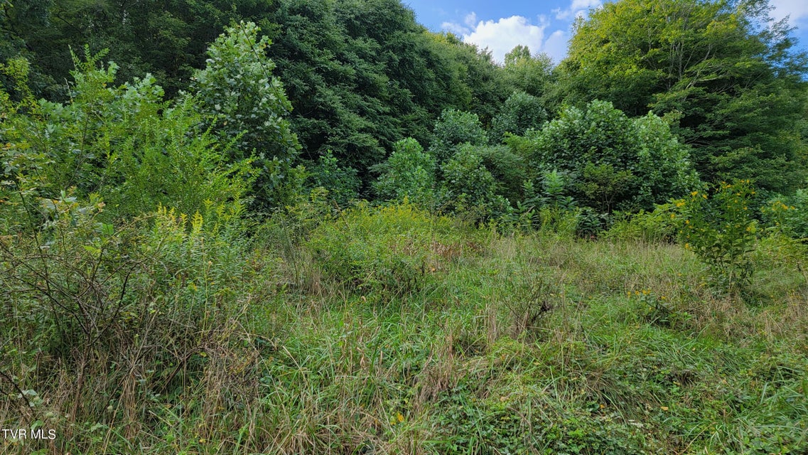 Photo #6: 00 Dry Stone Branch Road