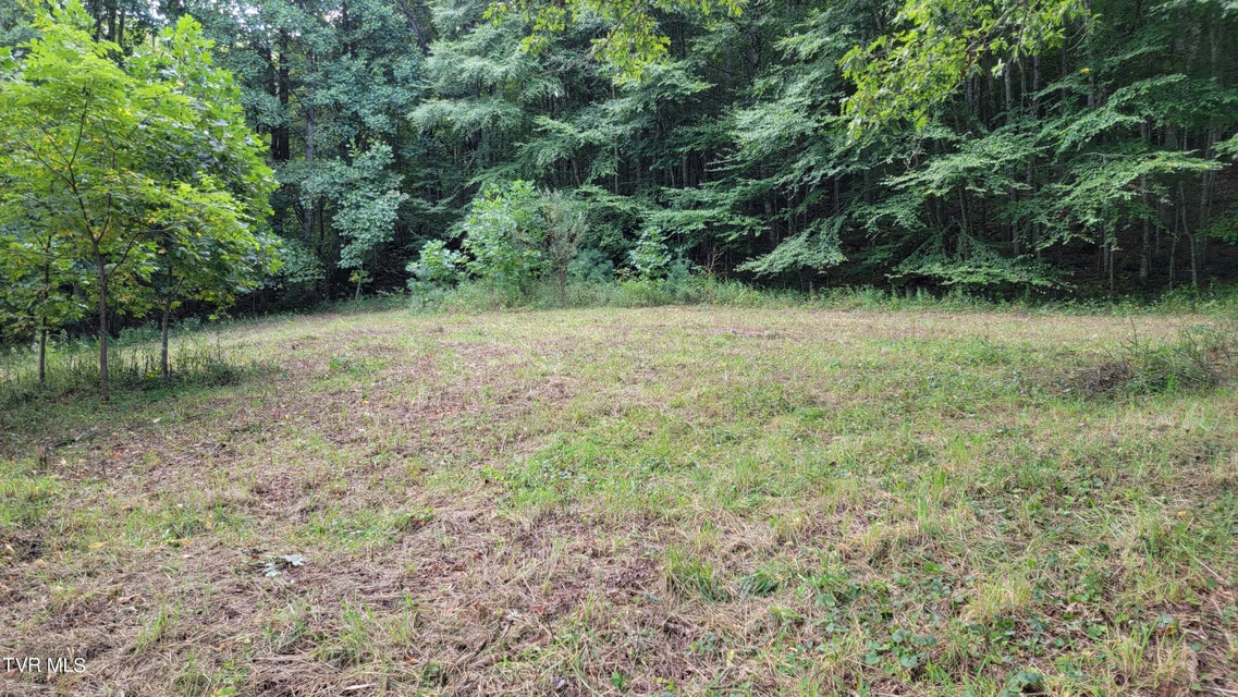 Photo #7: 00 Dry Stone Branch Road