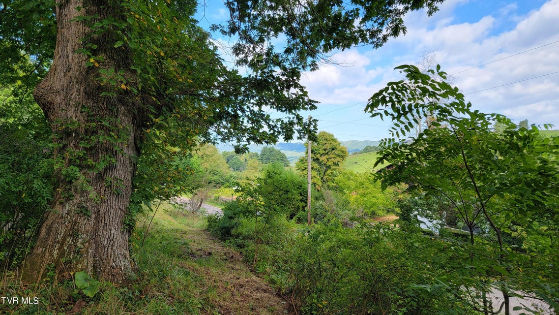 Photo #8: 00 Dry Stone Branch Road