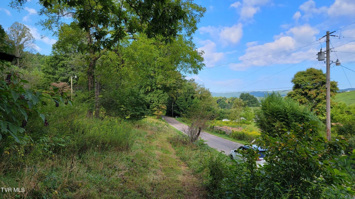 Photo #9: 00 Dry Stone Branch Road