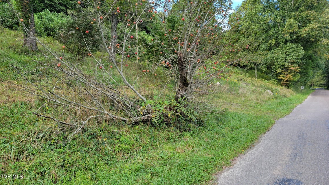 Photo #10: 00 Dry Stone Branch Road